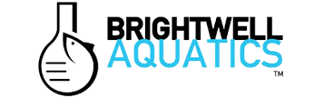 bright