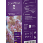Component B