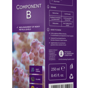 Component B