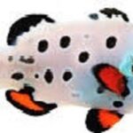 دلقک فراست بیت(Frostbite Clownfish)