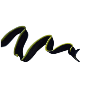 مار ریبون مشکی(Black Ribbon Eel)