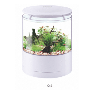 Mini Aquarium Q2