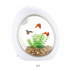 Mini Aquarium Q3