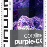 Coralline Purple•CX