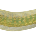 مار گرگی(Wolf eel)