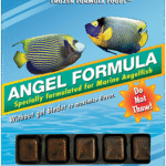 Ocean Nutrition ANGEL FORMULA