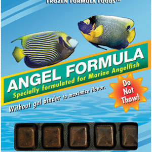 Ocean Nutrition ANGEL FORMULA