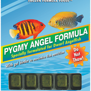 Ocean Nutrition FROZEN ANGEL FORMULA