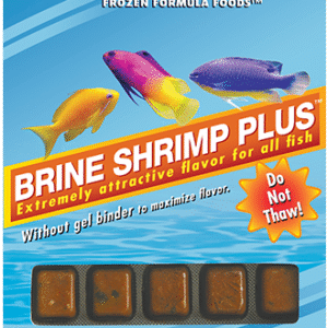 Ocean Nutrition FROZEN BRINE SHRIMP PLUS