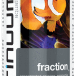Fraction